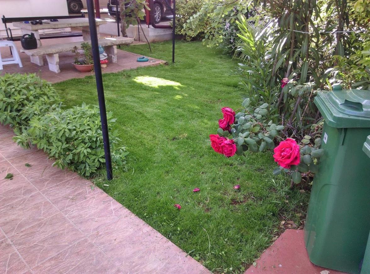 Apartment Casa Del Sol Novigrad Istria Dış mekan fotoğraf