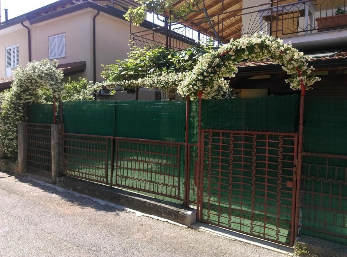 Apartment Casa Del Sol Novigrad Istria Dış mekan fotoğraf