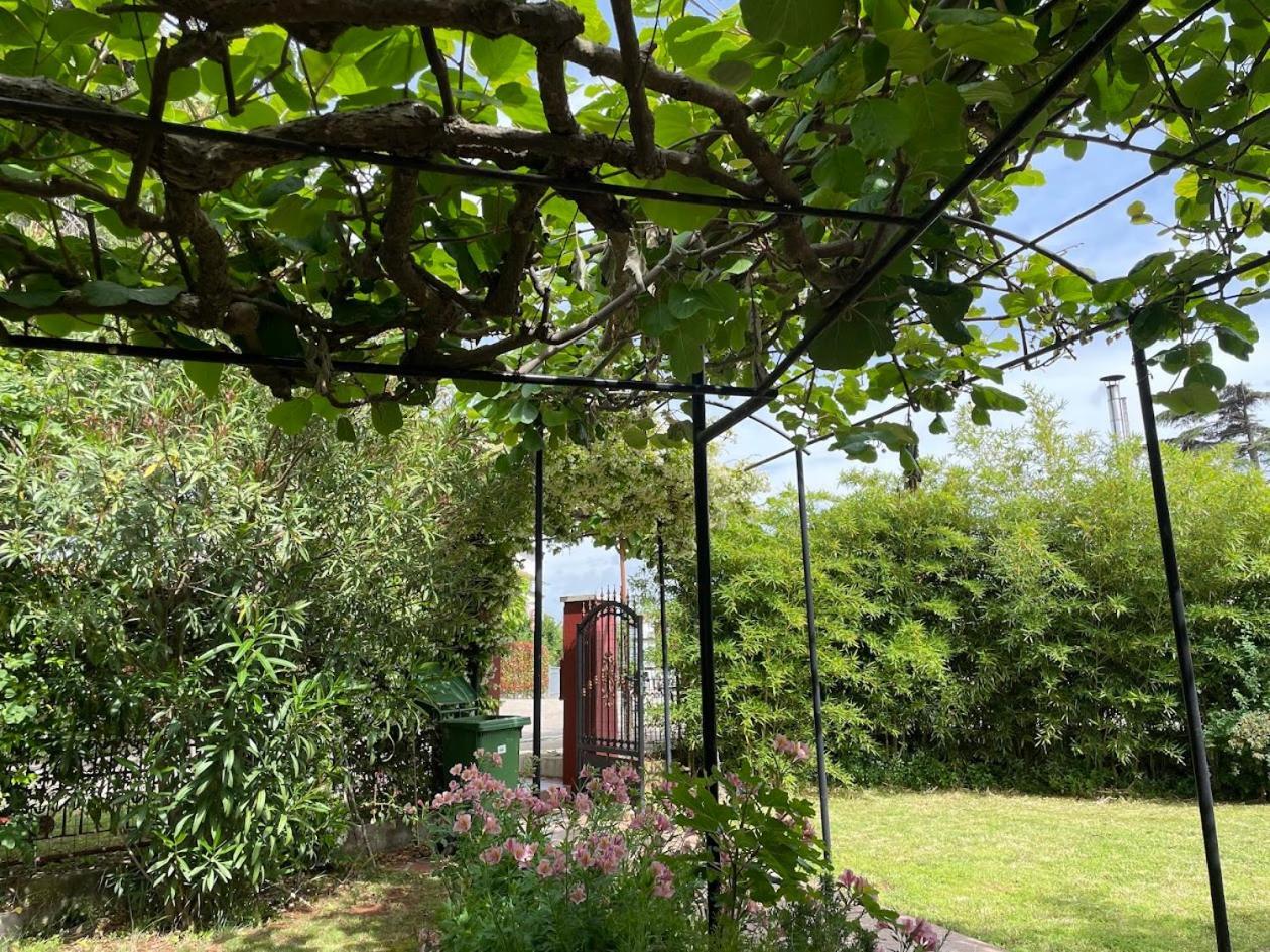 Apartment Casa Del Sol Novigrad Istria Dış mekan fotoğraf
